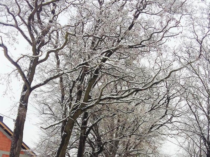 Gruszczyn-4 Gruszczyn-4