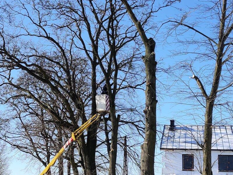 Gruszczyn-6 Gruszczyn-6